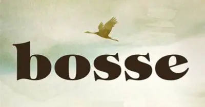 logo Bosse