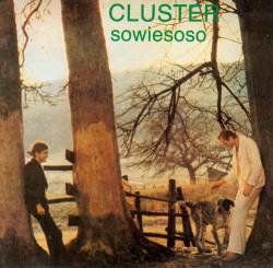 Cluster : Sowiesoso