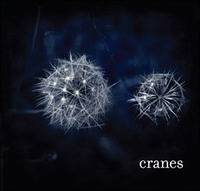 Cranes : Cranes