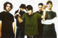photo of Finch