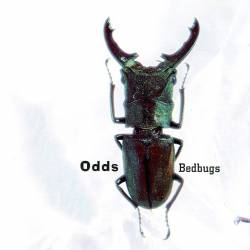 Odds : Bedbugs