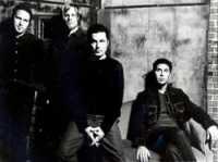 photo of Oleander
