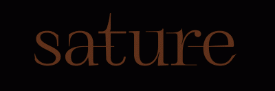 logo Sature