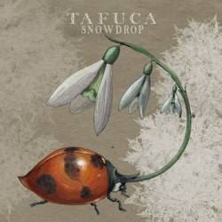 Tafuca : Snowdrop