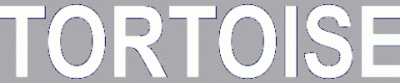 logo Tortoise