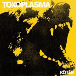 Toxoplasma : Köter