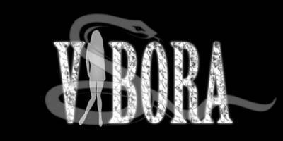 logo Vibora