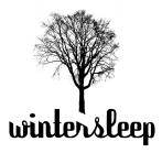 logo Wintersleep