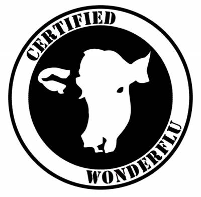 logo Wonderflu