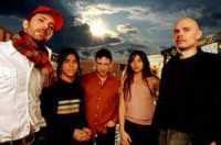 photo of Zwan