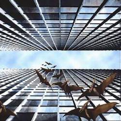 Quatermass A Phantom Pteranodon Bootleg Spirit Of Rock Webzine En