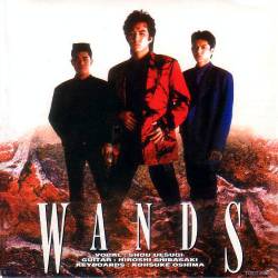Wands Wands (EP)- Spirit of Rock Webzine (cn)