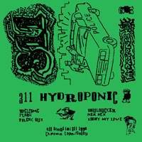 311 : Hydroponic