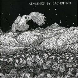 Bachdenkel : Lemmings