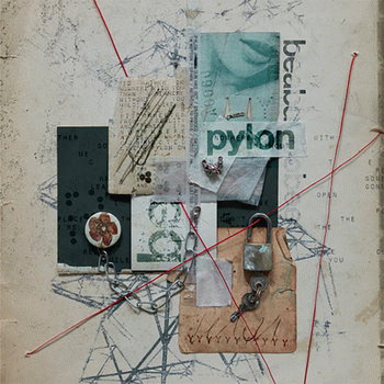 Beabadoobee : Pylon