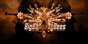 logo BigBangBayBees