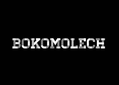 logo Bokomolech