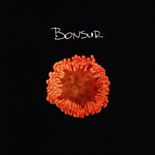 Bonsur