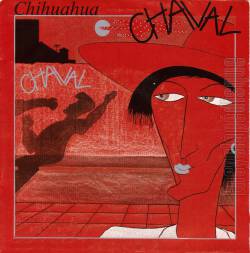 Chihuahua : Chaval