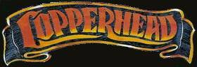 logo Copperhead logo Copperhead