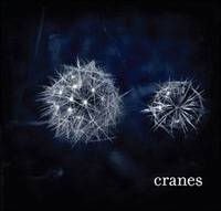 Cranes