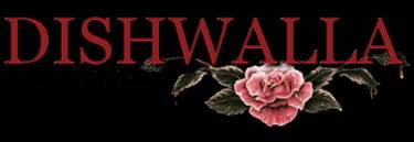 logo Dishwalla