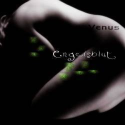 Engelsblut : Venus