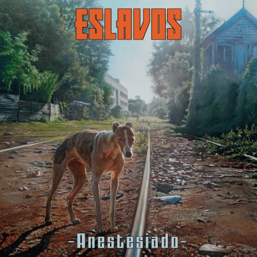 Eslavos : Anestesiado