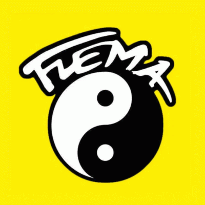 logo Flema