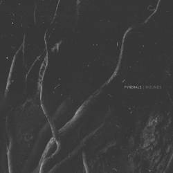 Fvnerals : Wounds