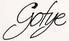 logo Gotye
