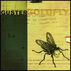 Guster : Goldfly