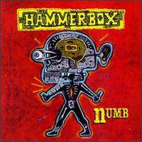 Hammerbox : Numb