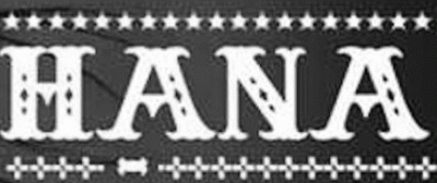 logo Hana