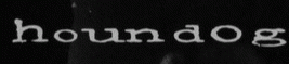 logo Houndog