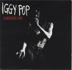 Iggy Pop : Cambridge 1993