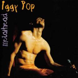 Iggy Pop : Metalhead