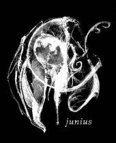 logo Junius
