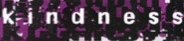 logo Kindness
