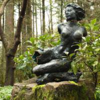 Menomena : Mines Menomena : Mines