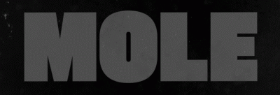 logo Mole logo Mole