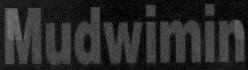 logo Mudwimin