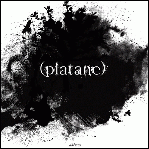Platane : Akènes