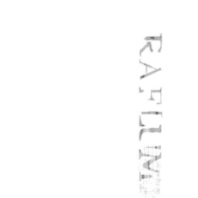 logo Raflum