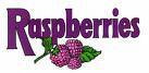 logo Raspberries