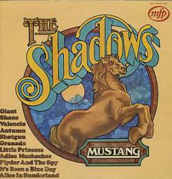 Shadows : Mustang