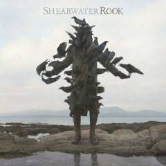 Shearwater : Rook