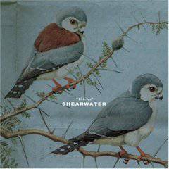 Shearwater : Thieves