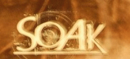 logo Soak