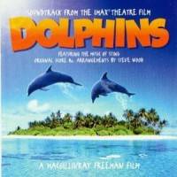 Sting : Dolphins